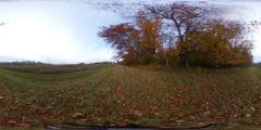 Thumbnail for Knox Farm State Park : Field Path Convergence