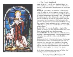 Thumbnail for Houghton Wesleyan Church - Virtual Prayer Walk - 11~The Good Shepherd